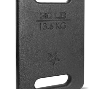 Yes4All Cast Iron Rucking Weight for Backpack, Hiking Resistance Workout Weight Plate Yes4All Cast Iron Rucking Weight