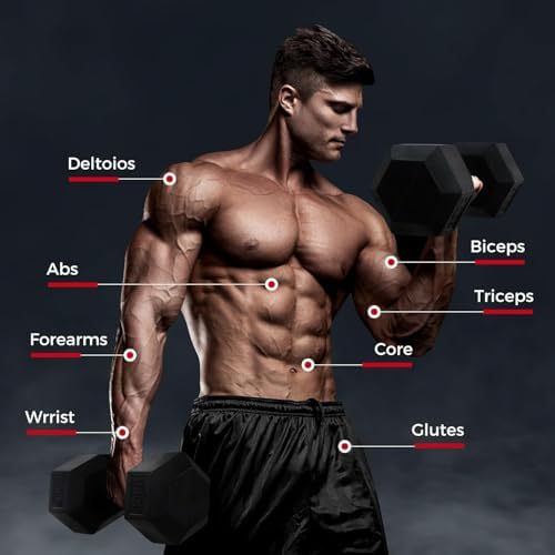 RitFit 250LB Rubber Hex Dumbbells with Weights Rack for Home Strength Training | RitFit 300LB Rubber Hex Dumbbells and