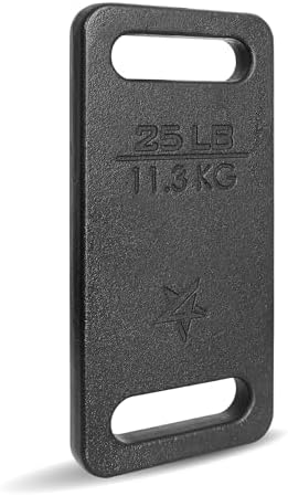 Yes4All Cast Iron Rucking Weight 10 LB for Backpack, Resistance Workout, Hiking Yes4All Cast Iron Rucking Weight 10 LB