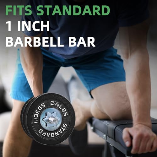 Fitvids Cast Iron Weight Plate 1-Inch Standard for Strength Training & Weightlifting Home Gym, Multiple Weights Availabl