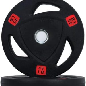 Fitvids Standard Cast Iron 1-inch Weight Plate Rubber Coated for Strength Training & Weightlifting, 45lbs Pair