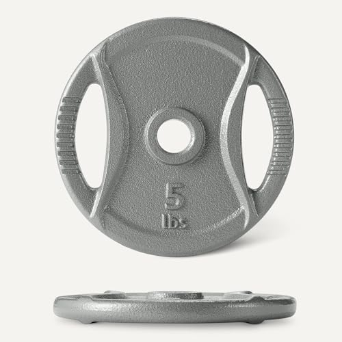 Amazon Basics 1-Inch Cast Iron Grip Weight Plates for Home Gyms and Fitness Lovers | Amazon Basics 1-Inch Cast Iron Gri