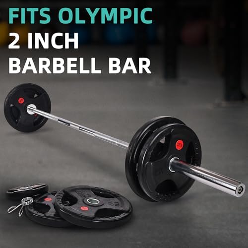 Fitvids Olympic Cast Iron Weight Plates for Strength Training & Weightlifting Home Gym | Fitvids 255 Pounds Olympic Cas