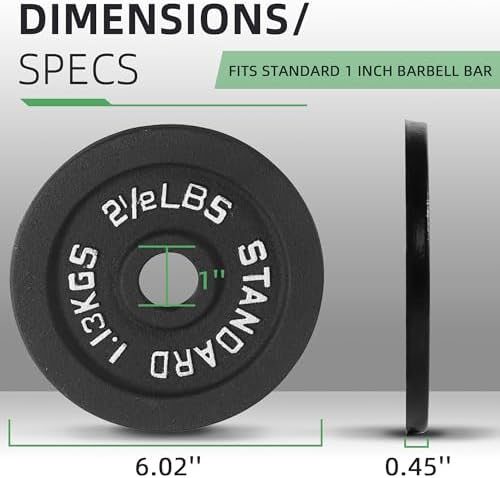 Fitvids Cast Iron Weight Plate 1-Inch Standard for Strength Training & Weightlifting Home Gym, Multiple Weights Availabl