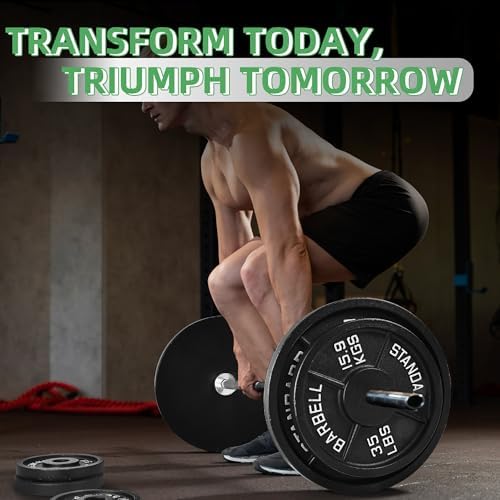 Fitvids Cast Iron Weight Plate 1-Inch Standard for Strength Training & Weightlifting Home Gym, Multiple Weights Availabl