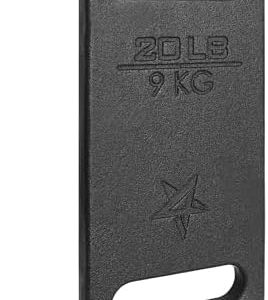 Yes4All 10 LB Cast Iron Rucking Weight for Backpack, Training with Ergonomic Handle, Hiking Resistance Workout Weight Pl