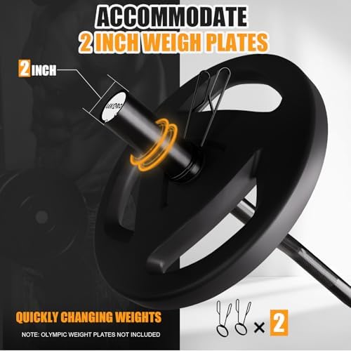 Olympic EZ Curl Barbell Bar 48-inch Curling Bar Fit 2-inch Weight Plates Strength Training Bar Squats Hip Thrusts Bench