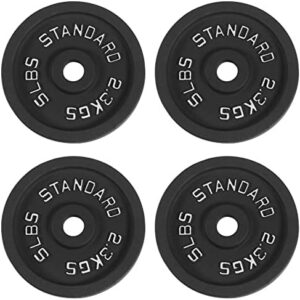 Fitvids Cast Iron Weight Plates 1" Standard Including Barbell Bar & Star Locks 95 Pounds Set