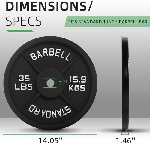 Fitvids Cast Iron Weight Plates for Strength Training and Weightlifting - Home Gym Essential | Fitvids Cast Iron 1-Inch