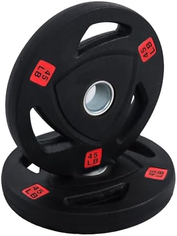 Fitvids Standard Cast Iron 1-inch Weight Plate Rubber Coated for Strength Training & Weightlifting, 45lbs Pair