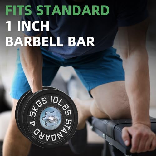 Fitvids Cast Iron Weight Plate 1-Inch Standard for Strength Training & Weightlifting Home Gym, Multiple Weights Availabl