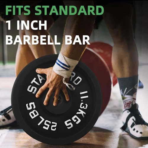 Fitvids Cast Iron Weight Plate 1-Inch Standard for Strength Training & Weightlifting Home Gym, Multiple Weights Availabl