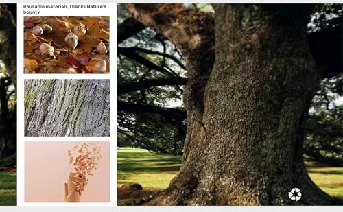 **Balance Board Trainer for Adults & Kids - Hockey Snowboard Wobble Board, Wood Made, 450lbs Core Trainer** | **Hockey