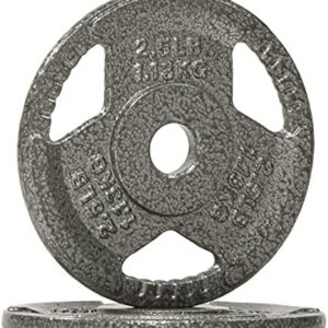 Fitvids 2-Inch Olympic and 1-Inch Standard Cast Iron Weight Plate for Strength Training & Weightlifting - Multiple Weigh