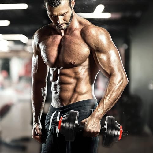 Yes4All Chrome/Rubber Grip Dumbbell Handles, 14/16/18/24 Inch, For 1" / 1.15" Plates, Weight Bar Connector, Home Gym Fi