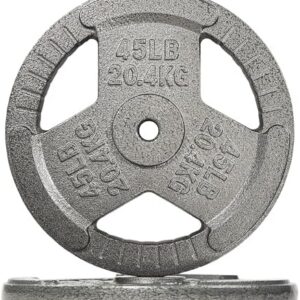 Fitvids 1-Inch Cast Iron Weight Plate for Strength Training & Weightlifting - Multiple Sizes