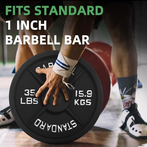 Fitvids Cast Iron Weight Plate 1-Inch Standard for Strength Training & Weightlifting Home Gym, Multiple Weights Availabl