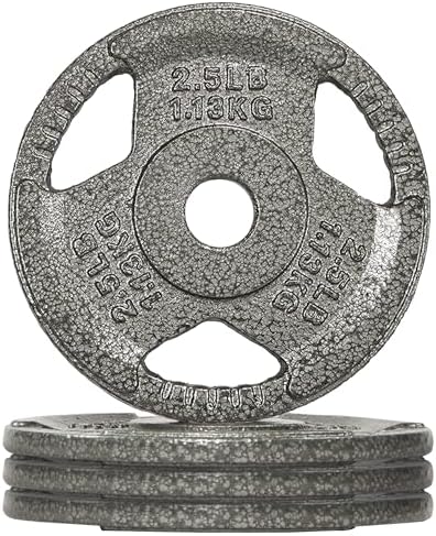 Fitvids 1-Inch Cast Iron Weight Plate for Strength Training & Weightlifting - Multiple Sizes