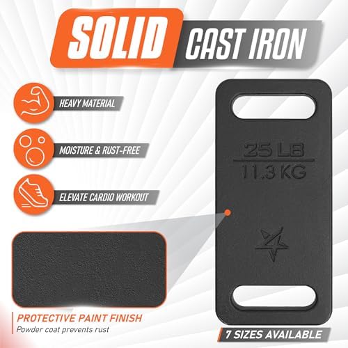 Yes4All Cast Iron Rucking Weight 10 LB for Backpack, Resistance Workout, Hiking Yes4All Cast Iron Rucking Weight 10 LB