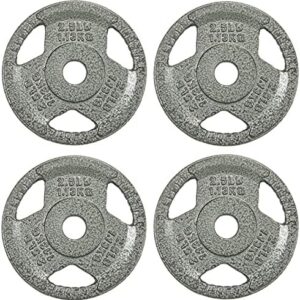 Fitvids Cast Iron Plate Weight Plate for Strength Training and Weightlifting, 1-Inch Center, |5LB Set of 4 Fitvids Cast