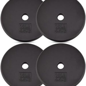 Yes4All Standard 1" Cast Iron Weight Plate - Perfect for Home Gym Strength Training - Multiple Weight: 5LB to 25LB (Sing