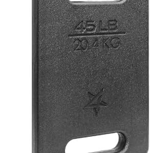 Yes4All Rucking Weight 10 LB, Cast Iron, Ergonomic Handle, Protective Finish, Fitness Walking, Hiking, Resistance Traini