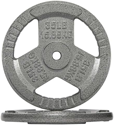 Fitvids Cast Iron Weight Plate 1 Inch Standard for Strength Training & Weightlifting, Multiple Weights Available