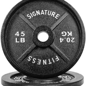 Fitvids Deep Dish 2-Inch Olympic Cast Iron Weight Plates with E-Coating Strength Training Equipment for Home Gyms and Fi