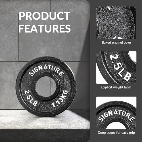 Fitvids Deep Dish 2-Inch Olympic Cast Iron Weight Plates with E-Coating Strength Training Equipment for Home Gyms and Fi