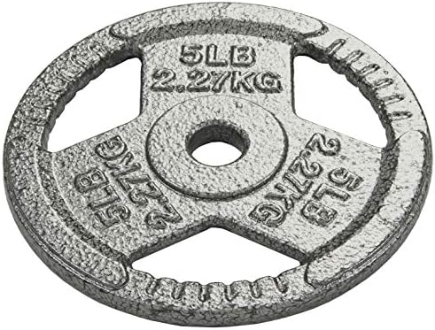 Fitvids Cast Iron Weight Plate 1 Inch Standard for Strength Training & Weightlifting, Multiple Weights Available