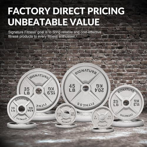 Fitvids Deep Dish 2-Inch Olympic Cast Iron Weight Plates with E-Coating Strength Training Equipment for Home Gyms and Fi