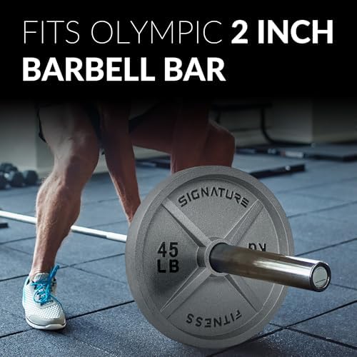 Fitvids Deep Dish 2-Inch Olympic Cast Iron Weight Plates with E-Coating Strength Training Equipment for Home Gyms and Fi