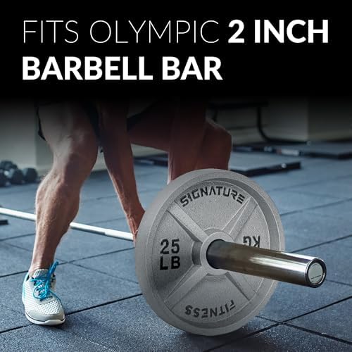 Fitvids Deep Dish 2-Inch Olympic Cast Iron Weight Plates with E-Coating Strength Training Equipment for Home Gyms and Fi