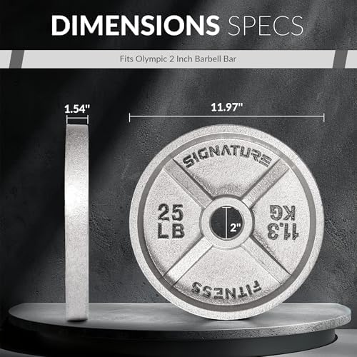 Fitvids Deep Dish 2-Inch Olympic Cast Iron Weight Plates with E-Coating Strength Training Equipment for Home Gyms and Fi