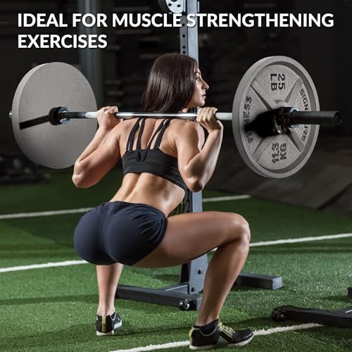 Fitvids Deep Dish 2-Inch Olympic Cast Iron Weight Plates with E-Coating Strength Training Equipment for Home Gyms and Fi