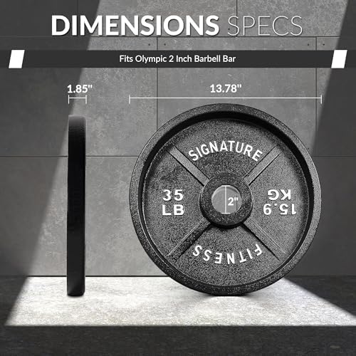 Fitvids Deep Dish 2-Inch Olympic Cast Iron Weight Plates with E-Coating Strength Training Equipment for Home Gyms and Fi