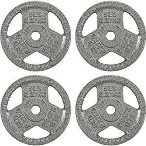 Fitvids Cast Iron Weight Plate 1 Inch Standard for Strength Training & Weightlifting, Multiple Weights Available